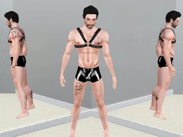 Ragnar Male Harness - Sims 3 CC