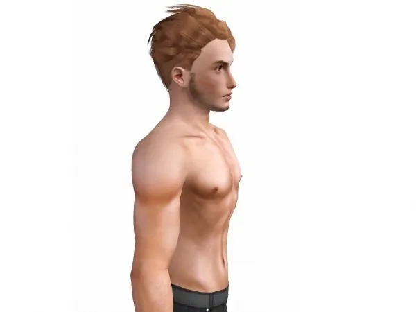 Torsos With 3D Nipples by VenusPrincess - The Sims 3 Custom Content