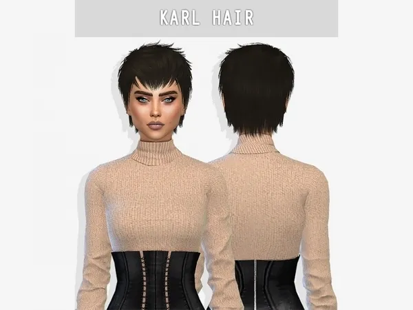 Alpha Karl Hair - The Sims 4 Custom Content