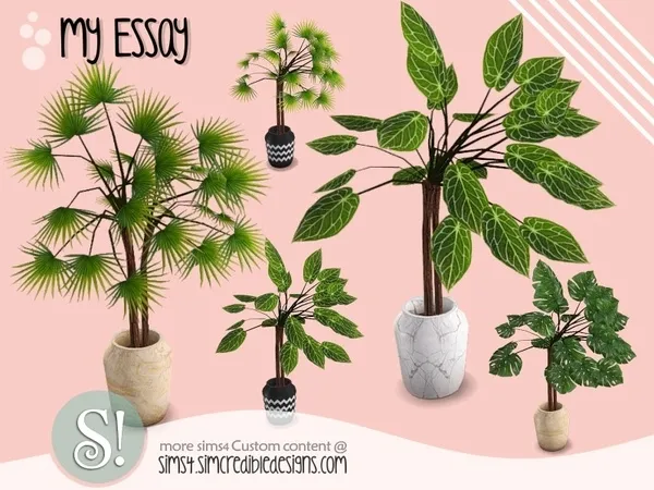 Mix My Essay plant - The Sims 4 Custom Content
