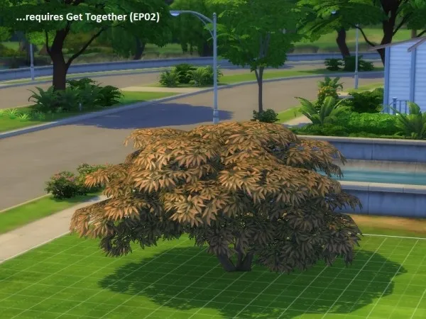 Maxis Match 4 unlocked plants (2 trees and 2 shrubs) by poisson - The Sims 4 Custom Content