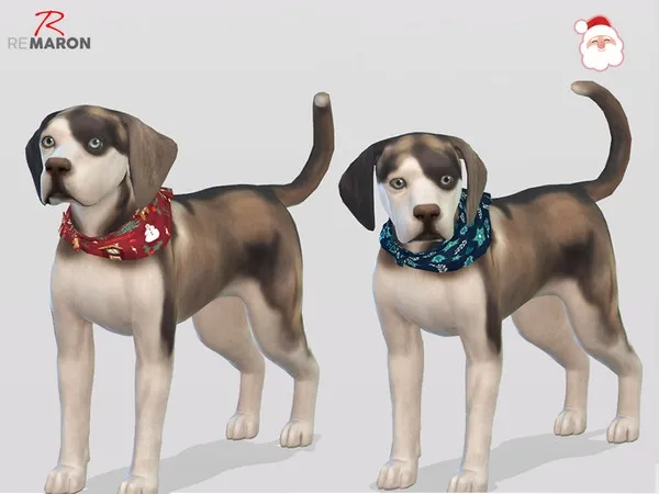 Bandana for Small Dogs - Cats & Dogs needed
