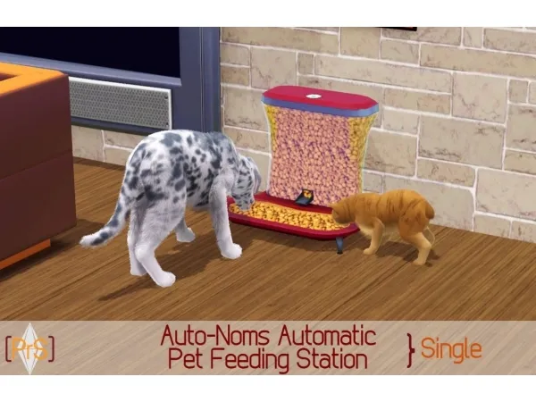 Automatic Pet Feeding Station