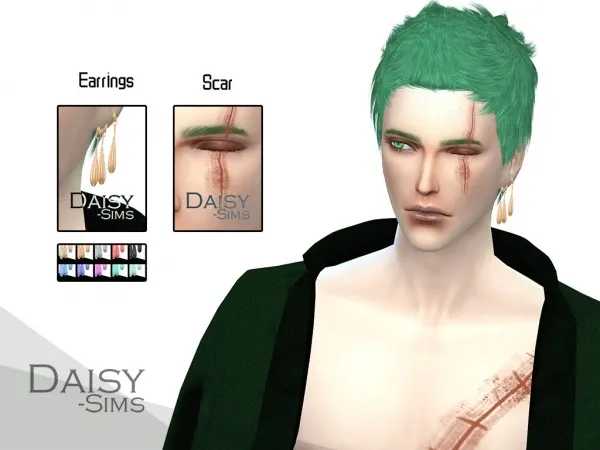 Zoro Earrings+Scar