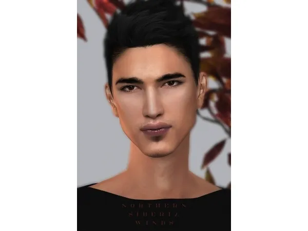 Alpha FM Face Сollection Part I by northernsiberiawinds - The Sims 4 Custom Content