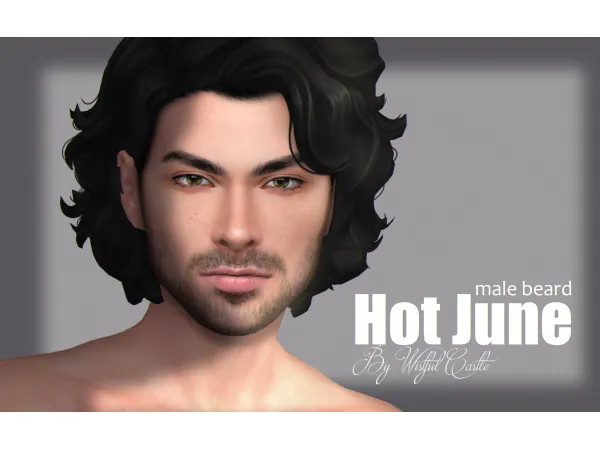 Mix Hot June (Beard) by Wistful Castle - The Sims 4 Custom Content