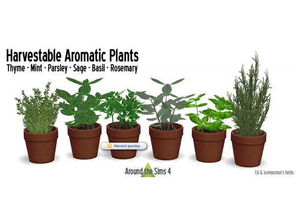 Maxis Match Aromatic Plants by ATS4 - The Sims 4 Custom Content