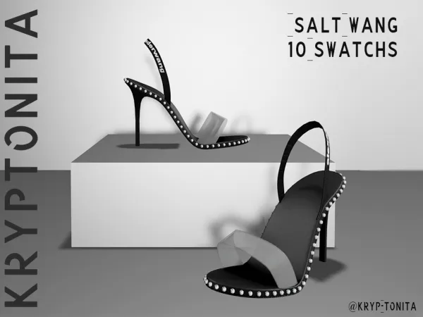 Alpha COLLECTION ALEXANDER WANG - The Sims 4 Custom Content