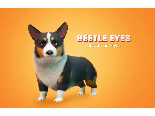 Beetle Pet Eyes