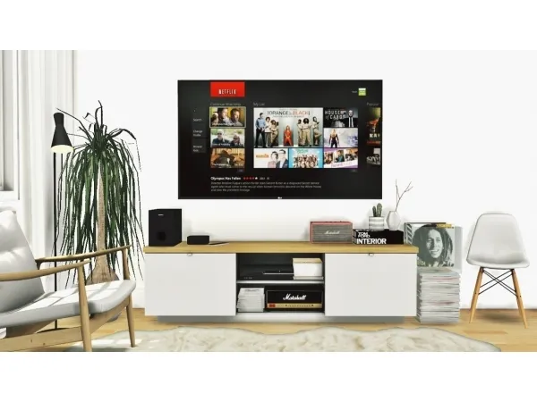 MXIMS Entertainment Set #5