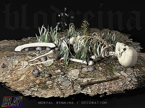 Alpha Mortal Remains Decoration - The Sims 4 Custom Content