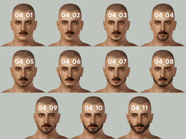 Beard Pack 04