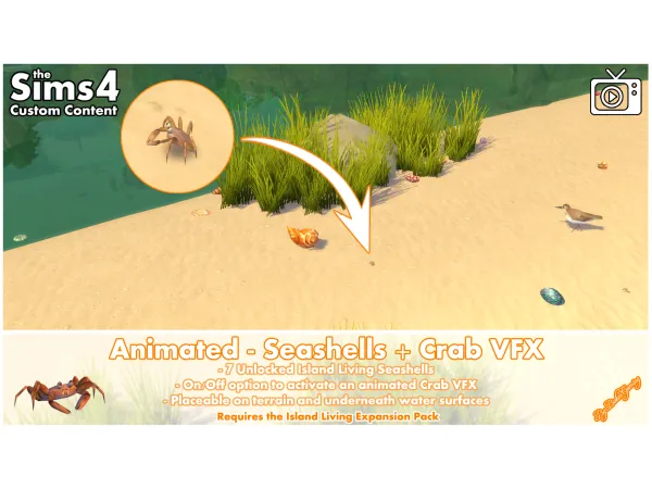 Animated - Seashells + Crab VFX by Bakie