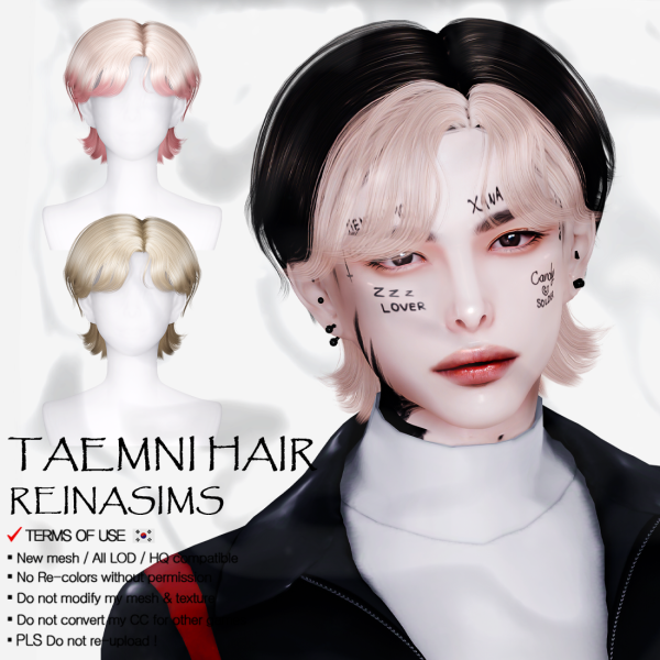 Alpha Reina 79 Taemni hair by simsfinds - The Sims 4 Custom Content