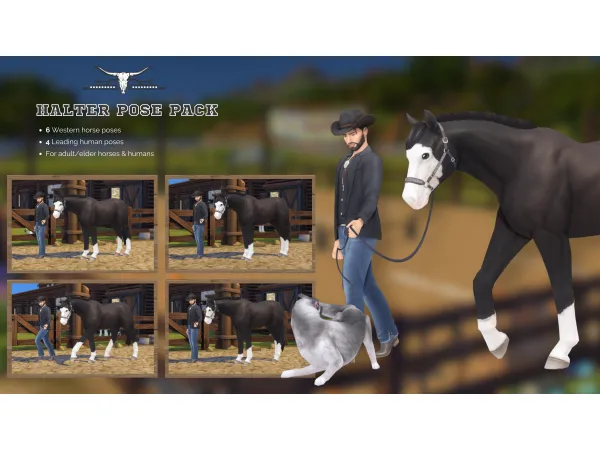 Maxis Match Halter Pose Pack (10 poses) by Buckaroo Ranch - The Sims 4 Custom Content