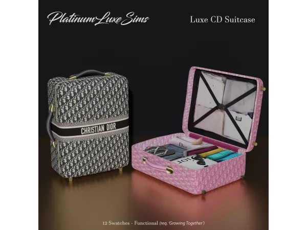 Alpha Functional Luxe CD Suitcase (English) by PlatinumLuxeSims - The Sims 4 Custom Content