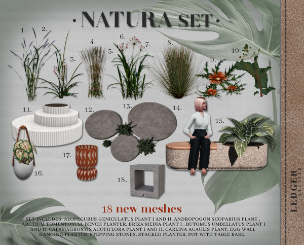 Alpha Natura Set (workroomatelier tier) by ledger_atelier - The Sims 4 Custom Content
