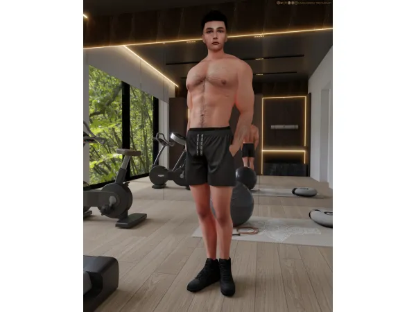 Alpha Large male genetics set - The Sims 4 Custom Content