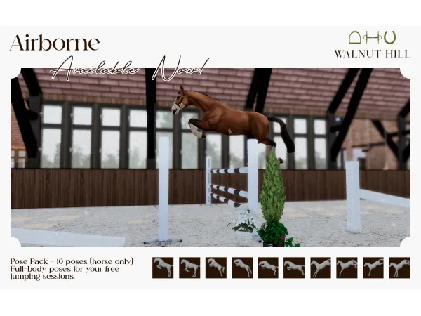 Airborne Pose Pack by Beatrice Madden
