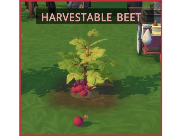 Maxis Match Harvestable Beet by icemunmun - The Sims 4 Custom Content