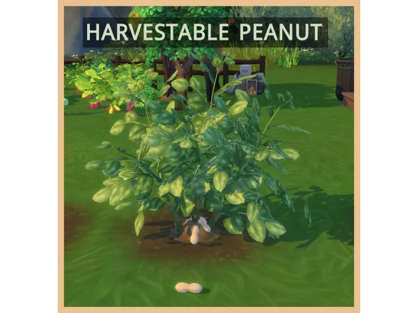 Maxis Match Harvestable Peanut by icemunmun - The Sims 4 Custom Content