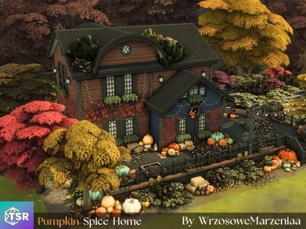 Pumpkin Spice | Home