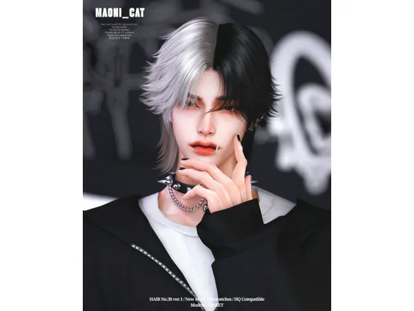 HAIR No.38 ver.1 by Maonicat