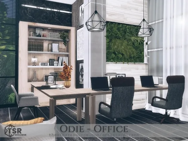 Alpha Odie Office - The Sims 4 Custom Content