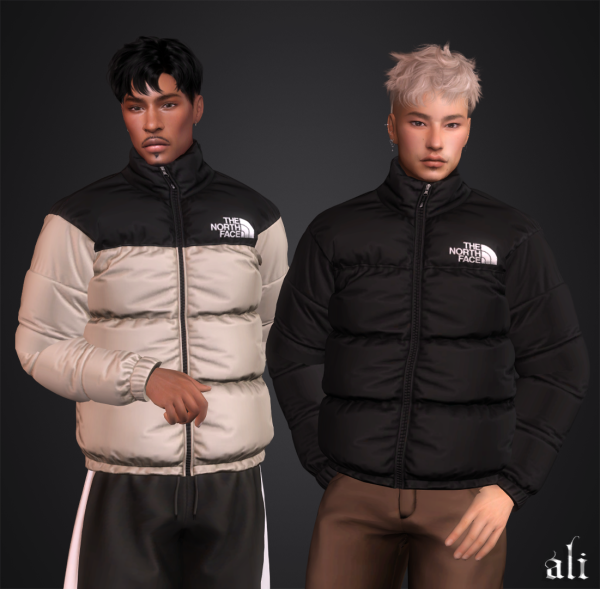 Mix THE NORTH FACE jacket(m) by simsfinds - The Sims 4 Custom Content