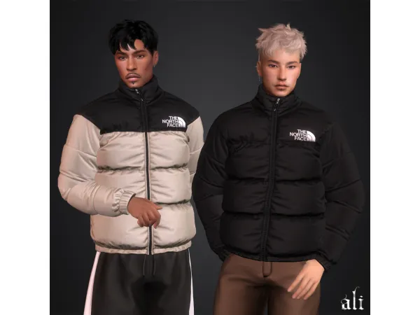Mix THE NORTH FACE jacket(m) by ali - The Sims 4 Custom Content