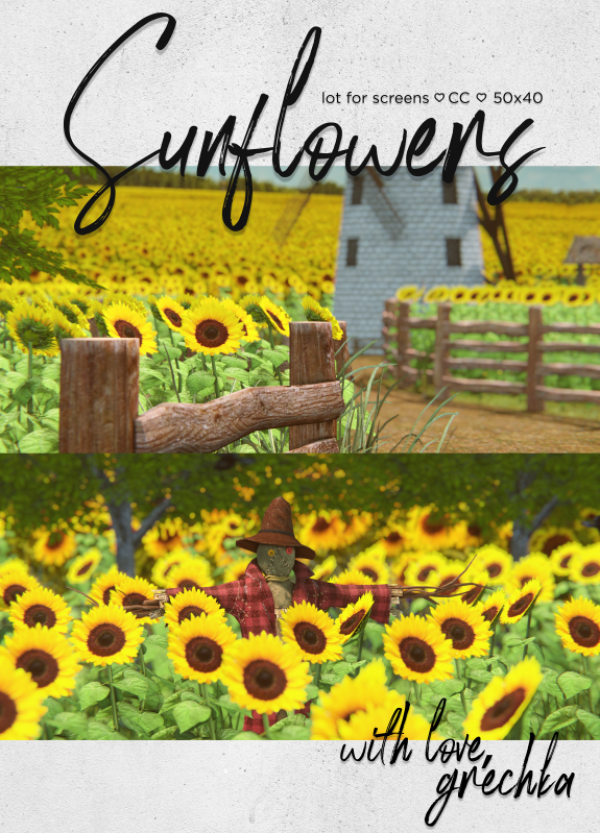 Alpha lot for screens Sunflowers by grechka - The Sims 4 Custom Content
