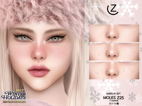 MAKEUP SET - MOLES Z25 by ZENX