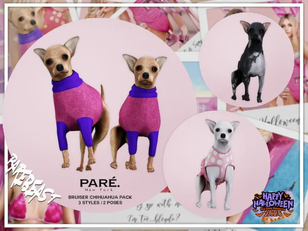 Alpha PARE Legally PARE Megapack Decor by VentaStudio - The Sims 4 Custom Content