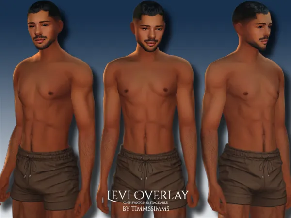 Levi Overlay